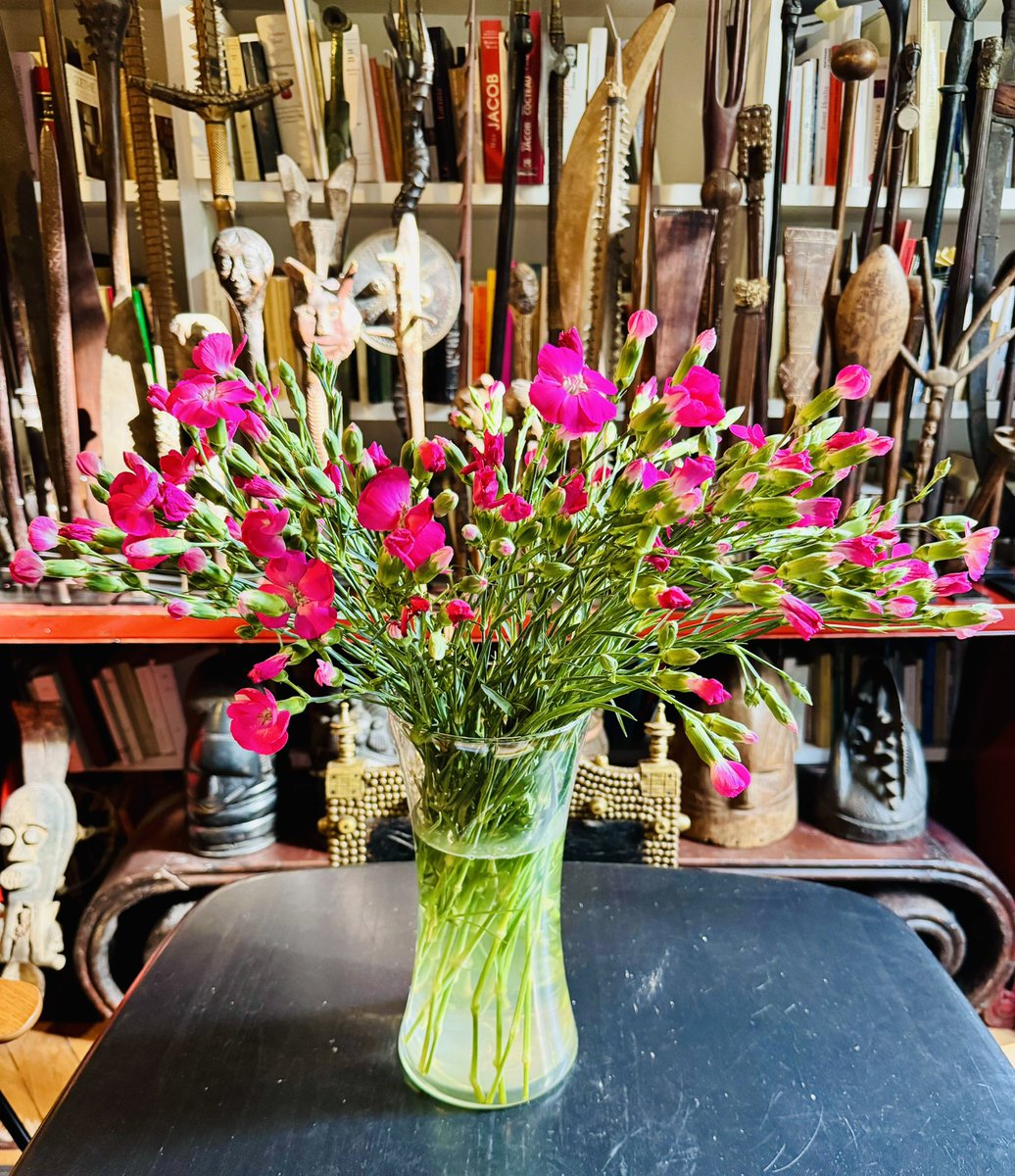 EmmanuelPierrat's tweet photo. C’est le retour des « petits » (on ne parle pas de la longueur des tiges) œillets dont les boutons roses s’ouvrent peu à peu…
#oeillets #fleurs #bouquet #flowers #bonheurdujour https://t.co/G37p2e8Iwh
