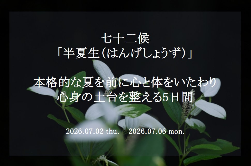 niikee_official's tweet photo. ˚⊹⁺‧┈┈┈┈┈┈┈┈┈┈┈┈‧⁺ ⊹˚.

✨七十二候「半夏生（はんげしょうず）」✨

本格的な夏を前に心と体をいたわり
心身の土台を整える5日間

.˚⊹⁺‧┈┈┈┈┈┈┈┈┈┈┈┈‧⁺ ⊹˚.

7/2（木）～7/6（月）の5日間は、七十二候「半夏生（はんげしょうず）」に入ります。

「半夏生」は二十四節気の「夏至」の末候で、カラスビシャク（半夏）という薬草が生え始める時期を指し、かつては田植えを終える重要な節目でもありました。

夏至の終わりを告げるこの5日間は、心身に溜まった不要なものを削ぎ落とす���「リセット期間」です。これまでの活発に動く時期から、自身の内面を見つめ直す静かな時間へと運気が緩やかに切り替わっていきます。

梅雨特有の重さやマイナスな感情をクリアにするため、この時期は無理をせず休息を優先し、空間の整理整頓を行���のがおすすめです。大地のパワーが満ちる時だからこそ、一息ついて心身の土台を整えましょう。

本格的な夏と下半期の健やかなスタートに向け、まずは心と体を優しくいたわってみませんか？

#半夏生   #七十二候