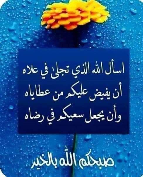Lahzy3's tweet photo. @mesfer11111 @Primrose771646 @0fozi_ @qr51324 @UYY9S @alradar222 @u_8zm @12ZZZ22 @12ZZZ11 @A____2_x @zahratalrn @ssh_zshta @Kkk3443k @AmUIL551 @dada12345d @orf_9 @Mcgir_1 @9f99fatima @2vwv3 @_i87ii @ashuag222 @alamer2220 @5_lyiv @mth886_ @hada_F15 @az32xz https://t.co/yCkal8IGgN