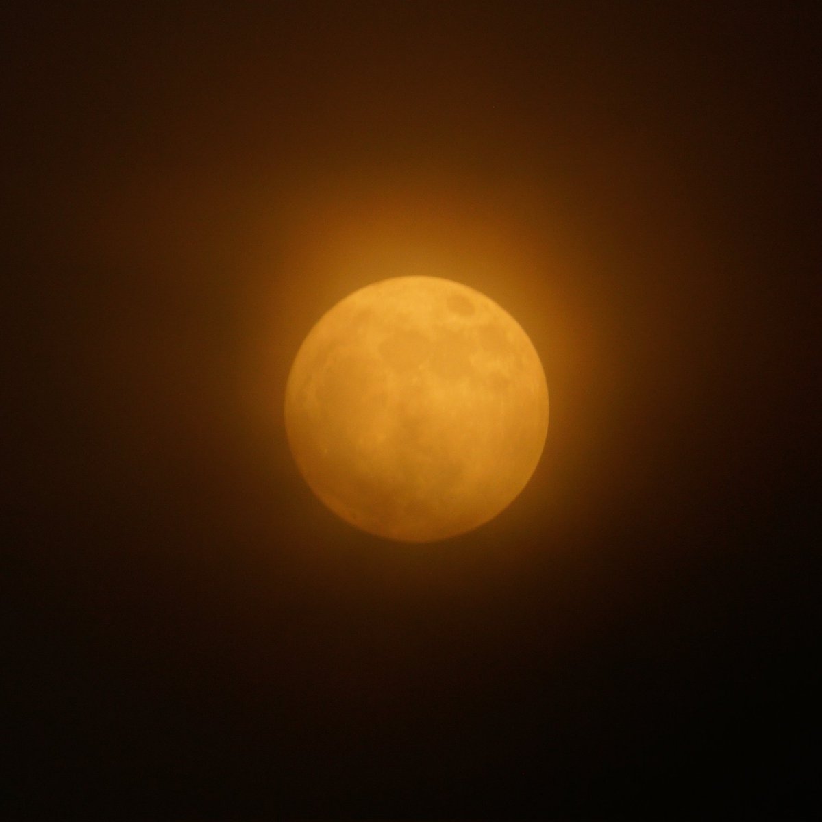 NavneelNeeraj's tweet photo. @monal_2111 This is with Sony 350 mm and cloudy sky https://t.co/oKMF3tLShf