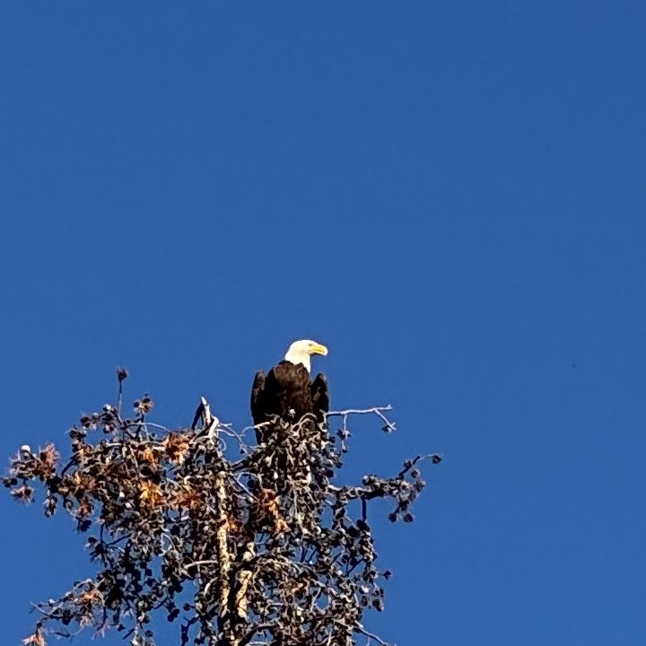 usnosaj's tweet photo. #bendoregon https://t.co/VJwQFNSf1z
