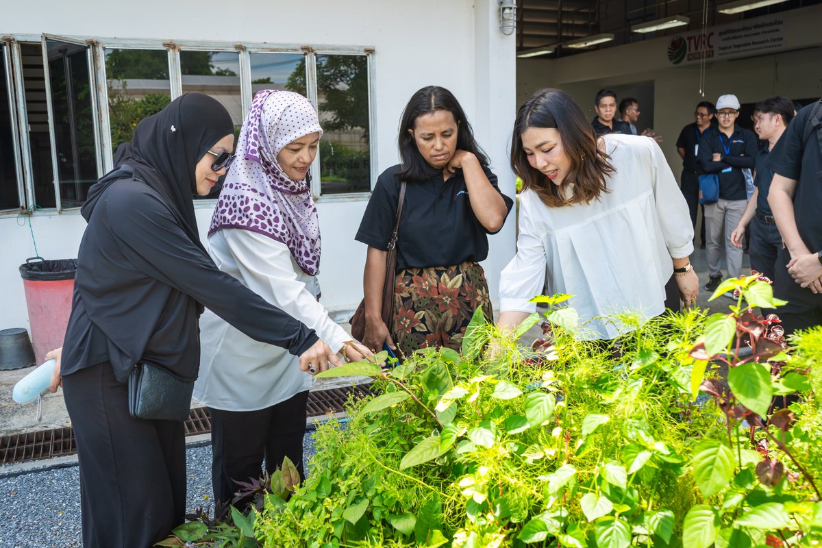 WorldVegCenter's tweet photo. 🤝For 20 years, AVRDC-ASEAN Vegetable Research Network (#AARNET) has connected researchers, governments and partners across Southeast Asia to strengthen vegetable research, innovation and food security. 

#WorldVeg #ASEAN #FoodSecurity #partnerships #ClimateResilience https://t.co/2mvhmroDkI