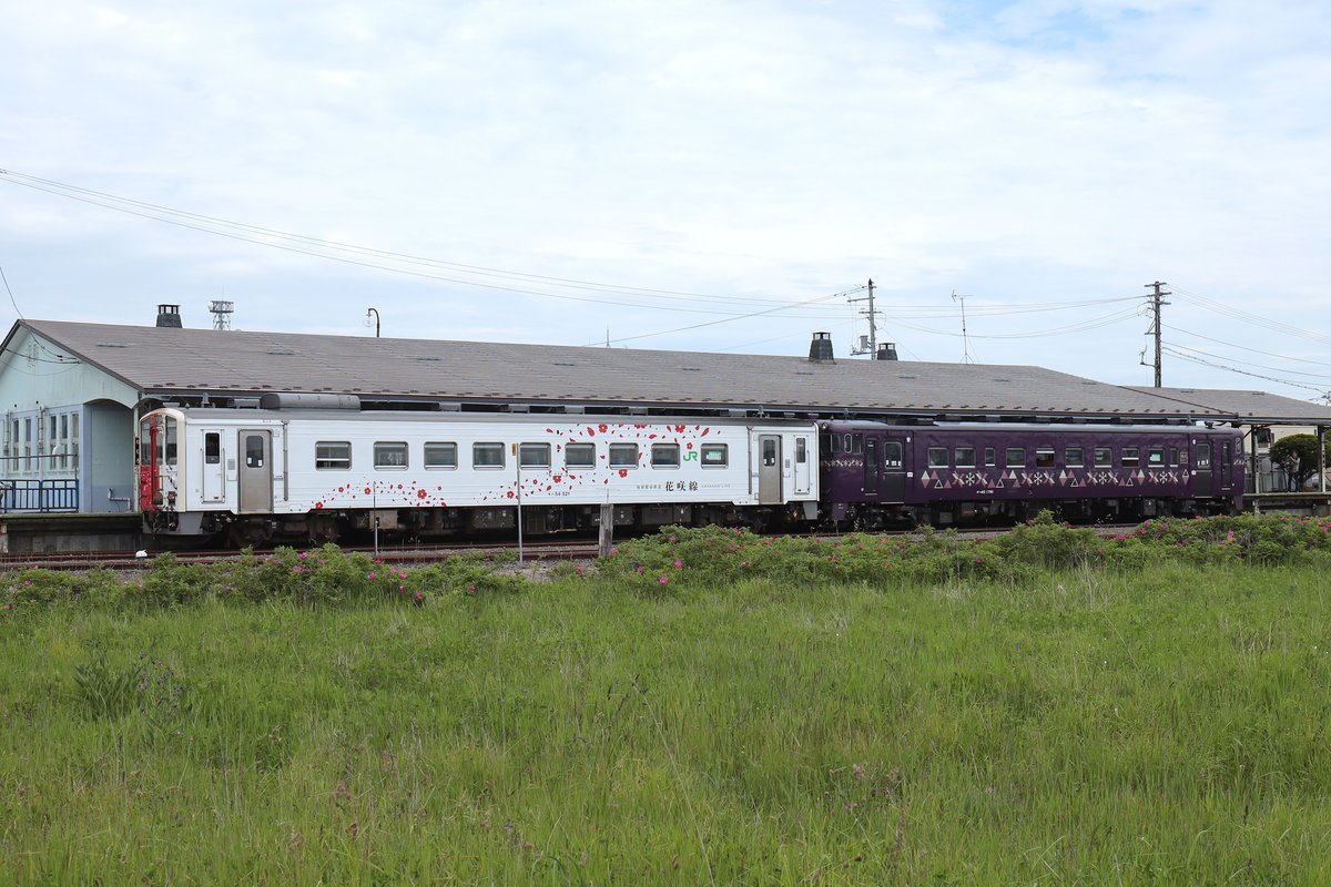 nemuro_kankou's tweet photo. 【JR花咲線本日より一部列車増結＆指定席運行開始】
＜2026/7/1現在＞

釧路発8：21　根室発11：12ではキハ40形（紫水）を増結。

合わせて「花咲線フリーパス」もはじまっています。
https://t.co/bhcit0mmTQ

ぜひ、『地球探索鉄道花咲線』を味わい尽くしてください。
https://t.co/6kdpPiSOQh https://t.co/slCN0Rdidv