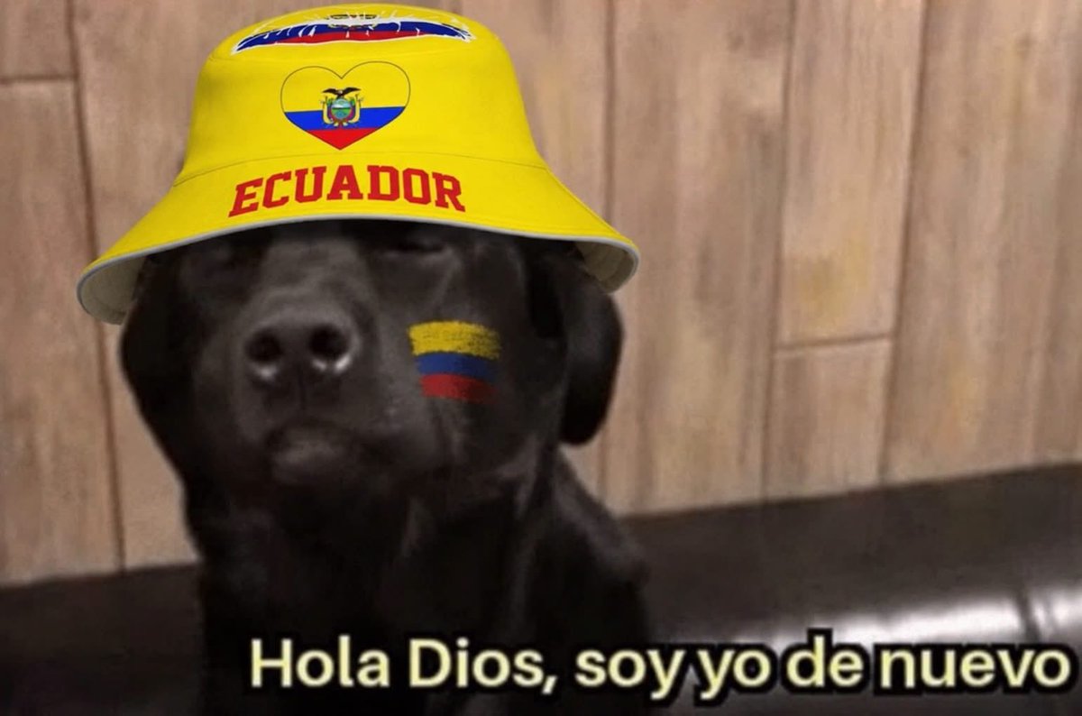 latiti___'s tweet photo. Dios por favor se que he sido una perra toda mi vida PERO TE LO RUEGO QUE ECUADOR META 3 GOLES Y TE PROMETO QUE DEJO SE SER UNA PERRA😭😭😭🙏🏻🙏🏻🙏🏻

#latri https://t.co/GcWUtCAnIj