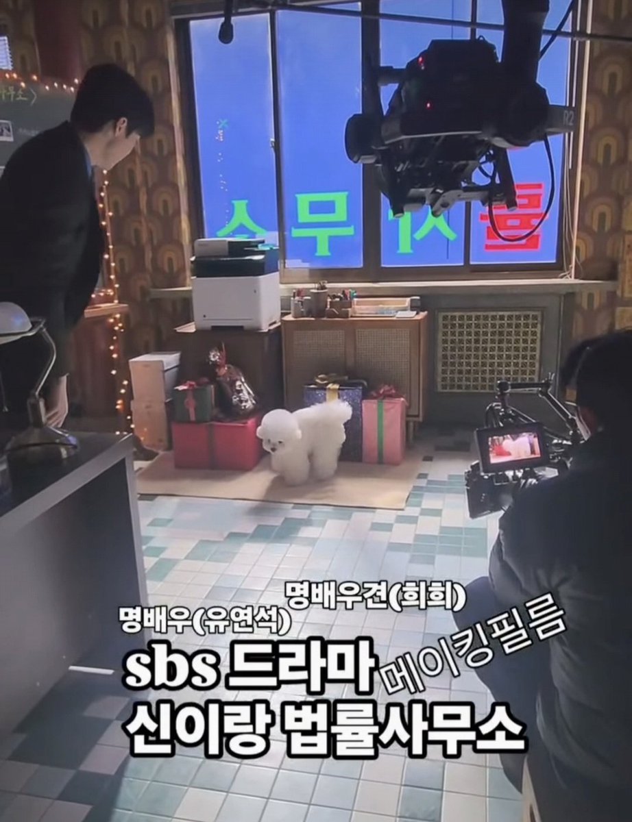 Syabunnyur's tweet photo. Tomem cuidado e não se deixem levar por qualquer informação. Este Cachorrinho no crocs nada mais é do que o Cachorrinho que apareceu no drama Phantom Lawyer e não tem nada a ver com a menina do rumor. #yooyeonseok #advogadofantasma #chaesoobin #yoochaeforever https://t.co/VD4HVLNCfz