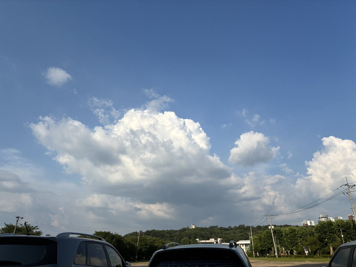 Atissouloko's tweet photo. 거북구름이 나타났다. 거북을 생각해서 그렇게 보이는 것인지,  혹은 그 마음을 읽오 내게 찾아온 것인지??? https://t.co/pOkEMqv2ID