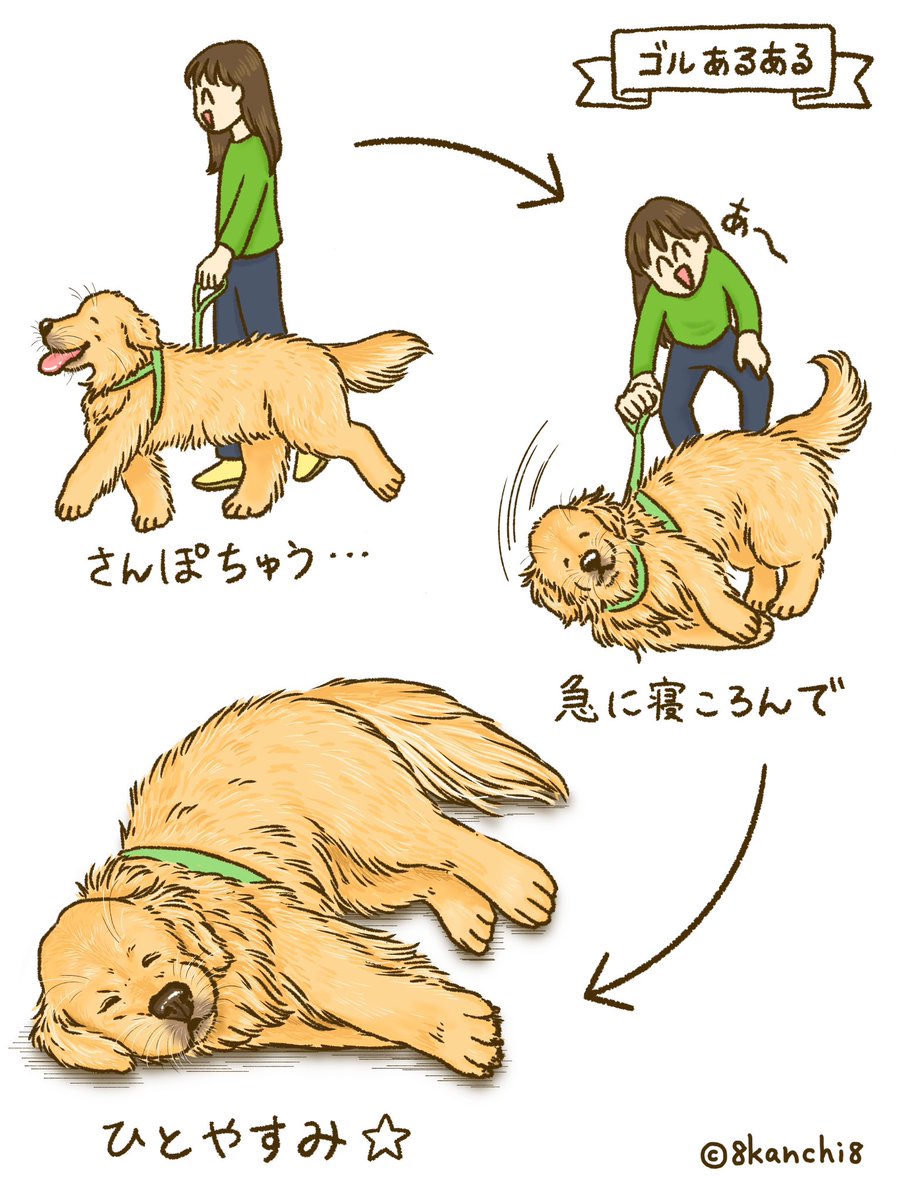 まどん LAKEの靴売ったりフィッティングしたりするイヌ (@madooooone