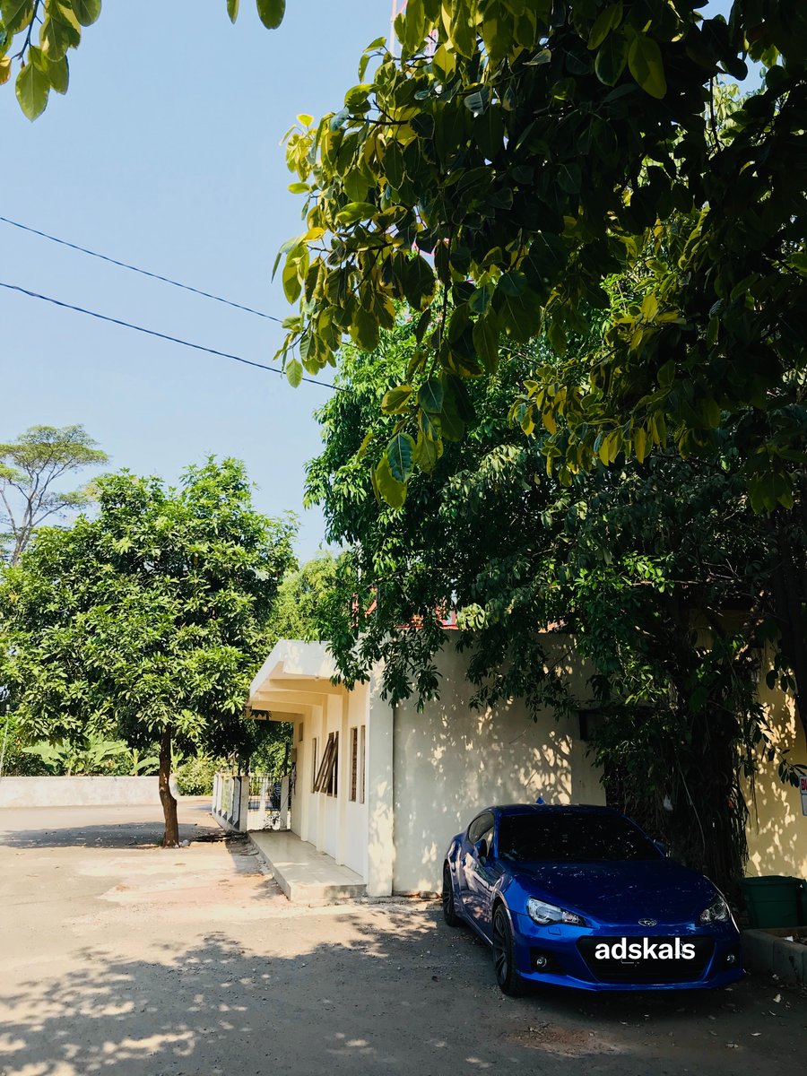 adskals's tweet photo. Share sesuatu yang hijau dari galeri kamu ! 

Dan dilarang nyolong 🫵😝

☘️QRT ini dan mari hijaukan timeline☘️ https://t.co/VrcXKNeukC