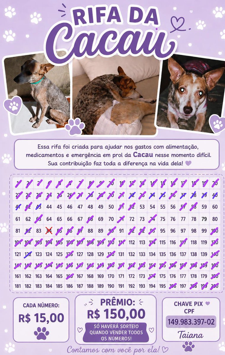 thaiannax's tweet photo. Oi pessoal.. vim deixar a rifinha da cacau aqui, faltam poucos números 🥲 apenas 2 pessoas ajudaram esses dias (as de smp) bom.. quem puder ajudar comprando um número ou ajudando nos vermífugos,toda ajuda e bem vinda. Lembrando que cacau ainda precisa do hemograma + https://t.co/sEYxO7cKEZ
