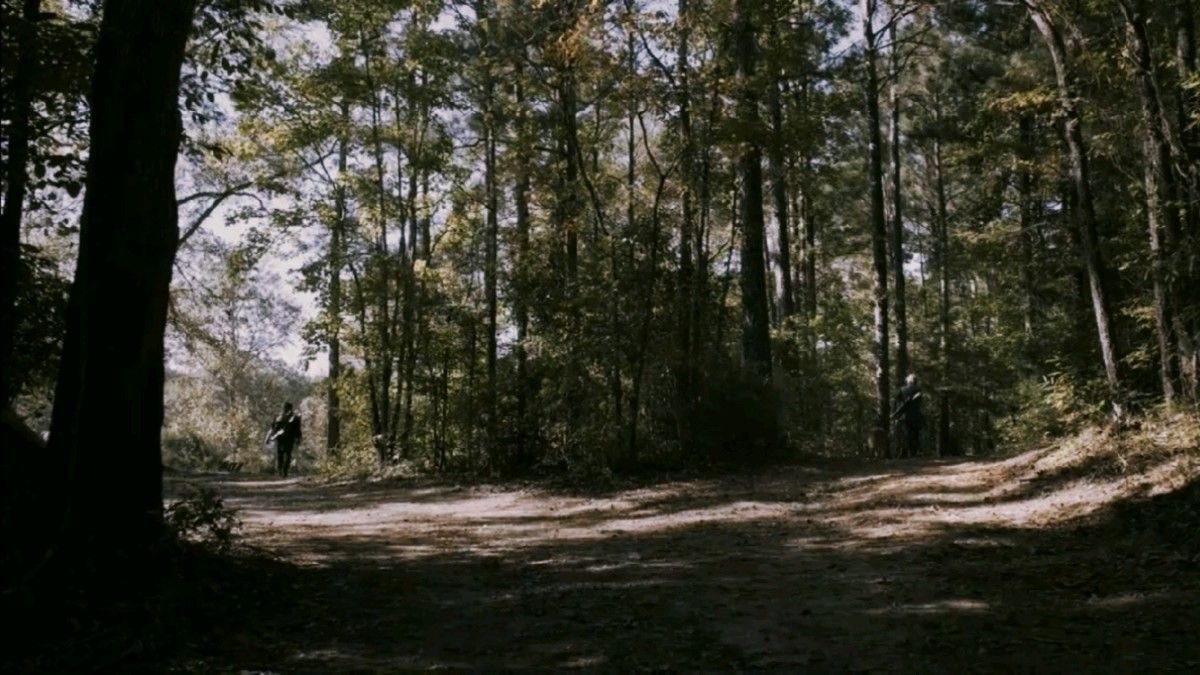 rositascrossbow's tweet photo. beauty of ‘the walking dead’ https://t.co/4yje0wJMnI