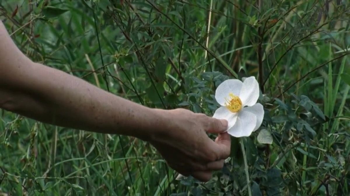 rositascrossbow's tweet photo. beauty of ‘the walking dead’ https://t.co/4yje0wJMnI