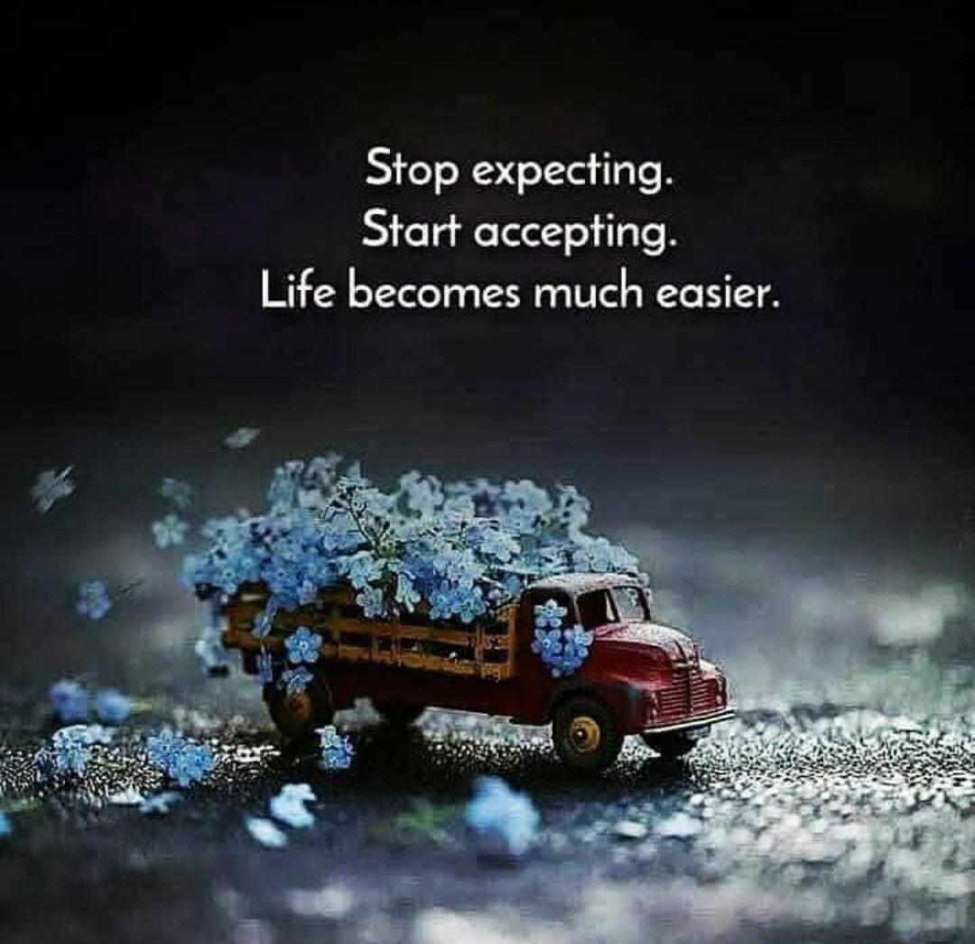 MichelleHardie6's tweet photo. #TuesdayThoughts https://t.co/o6C7xArn7i