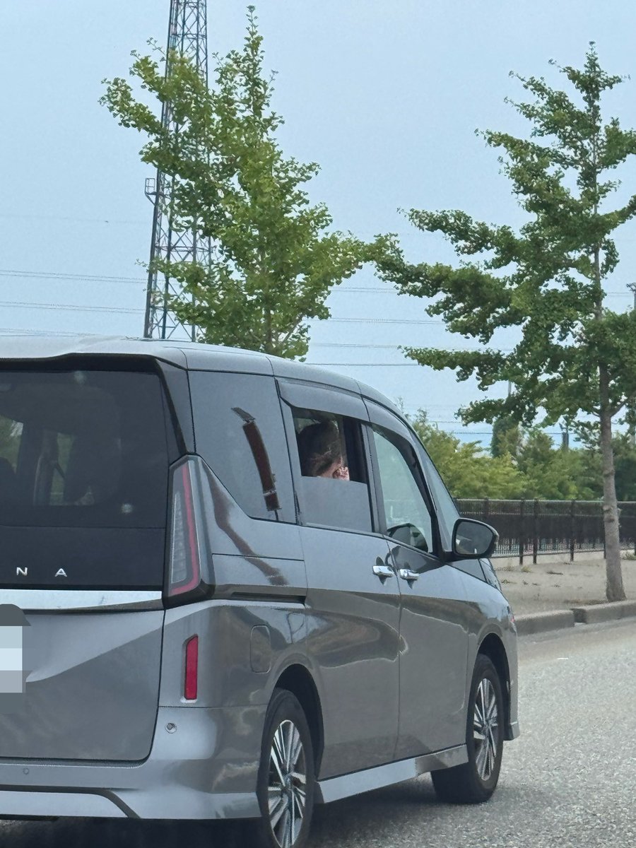 hhhna__k's tweet photo. 今だに子どもをちゃんと座らせられない親がいることにびっくりした https://t.co/SivU5xiikS