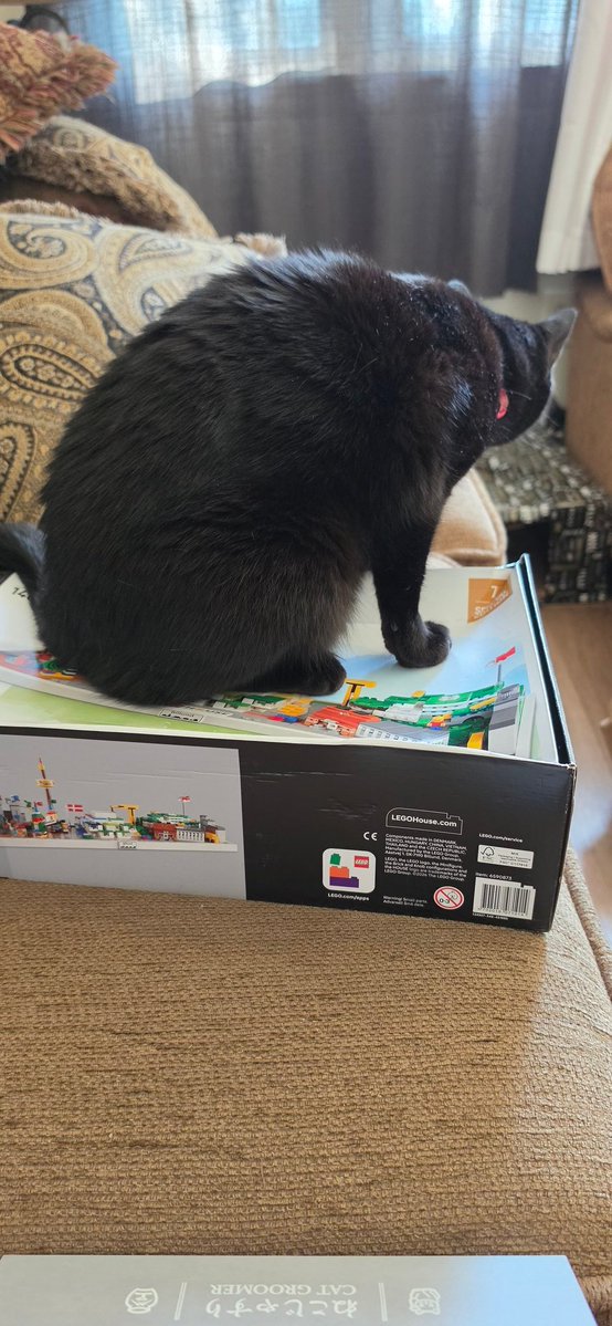 TatsutaFuwami's tweet photo. Well, my luggage finally arrived home but uh, my box is a little uhhh more dented in now 🥹 Its okay Coconut, its not like I was going to try to fix it. https://t.co/EPQoJZ4eU3