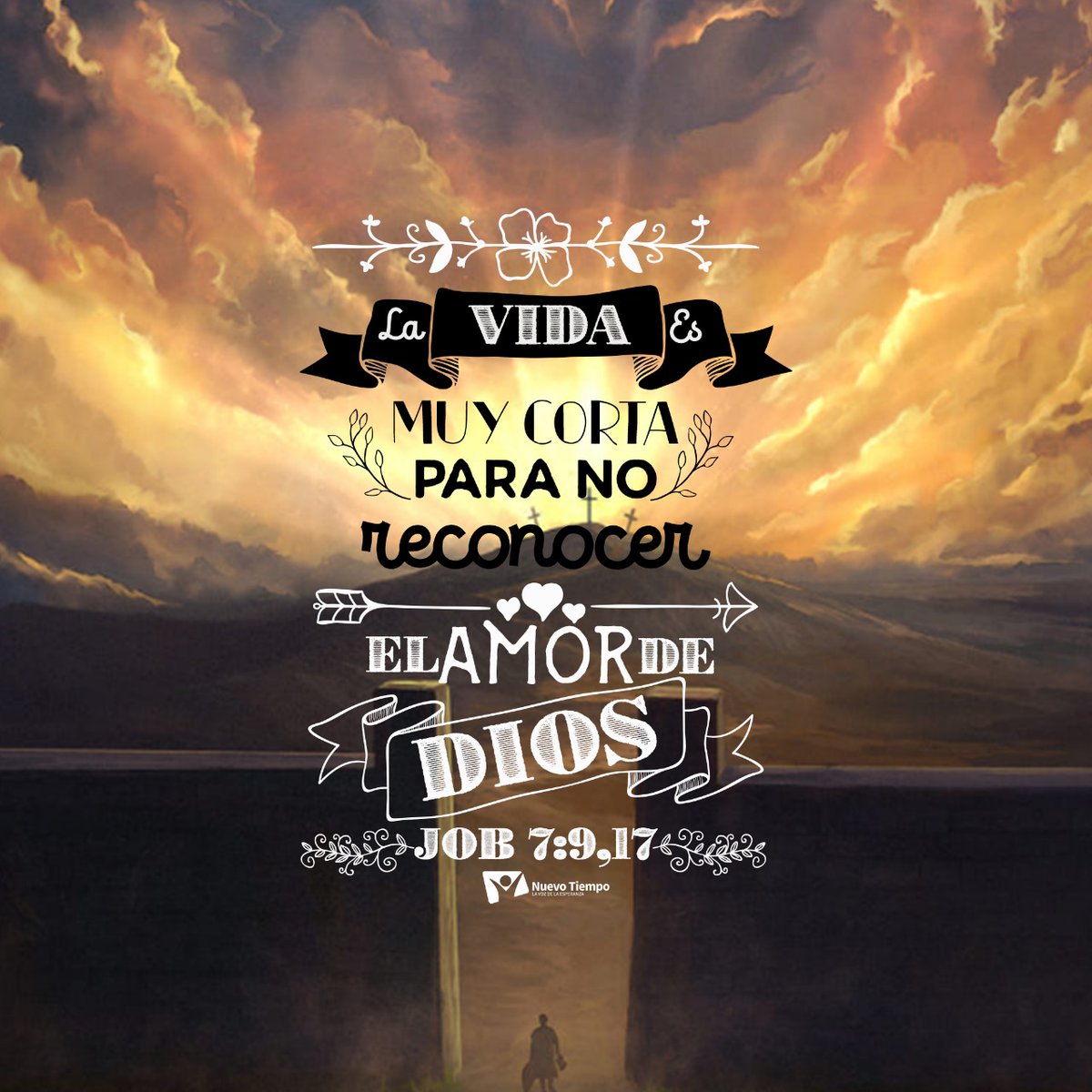 ntchile's tweet photo. No dejes para mañana lo que hoy puedes vivir junto a Dios. 🤍
Cada día es una nueva oportunidad para agradecer, amar, perdonar y acercarnos más a Él.
Escucha este RPSP: https://t.co/9BuwWiXDBW
#NuevoTiempo #PrimeroDios #RPSP #PrimeroDios #Job7 https://t.co/BdUjgbbRz3