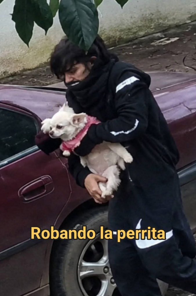 ForcadoKaren's tweet photo. Por si alguien lo conozca.   0994257430 wasap https://t.co/v6t3KbYsde