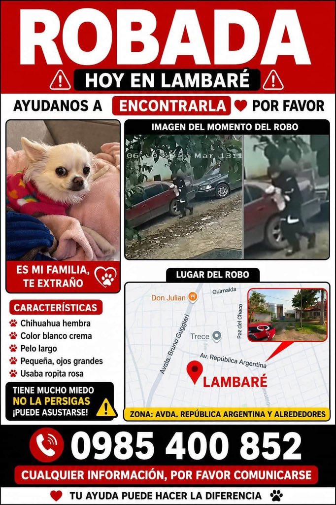 ForcadoKaren's tweet photo. Por si alguien lo conozca.   0994257430 wasap https://t.co/v6t3KbYsde