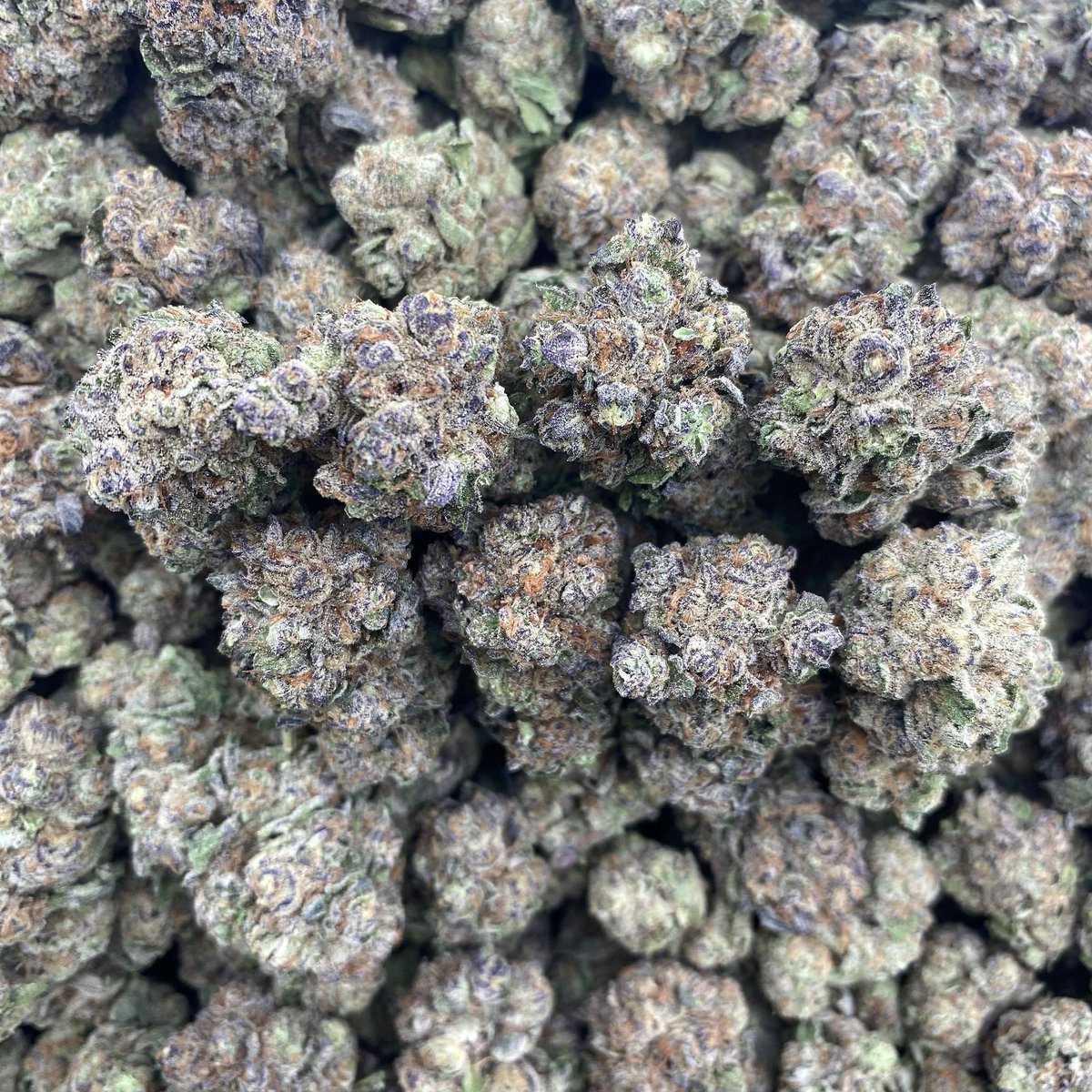 GOODFELLASMOB's tweet photo. ANIMAL CANDY CRUMPETS - INDOOR 🦊🍬

$600 INTOWN https://t.co/6GWUHXpuNC