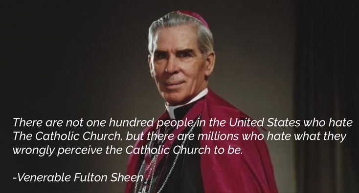 Matnes11's tweet photo. @ProLifeisProGod @VeiledinPrayer Maybe read the Catechism of the Catholic Church and learn what Catholics are taught to believe. https://t.co/Ycx3GXyi5D