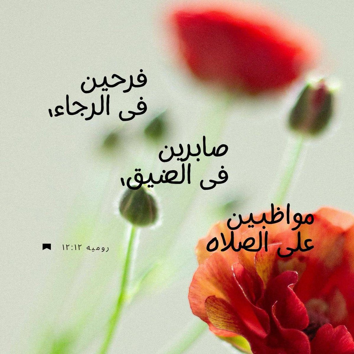 adelgkamel's tweet photo. https://t.co/ZlEwuYLoFT https://t.co/zZ8v9RHBem