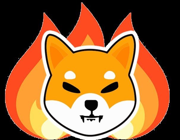 SHIBMortal's tweet photo. ShibaInu $SHIB will go to the moon 🚀when they burn 90%.🔥🔥

We need a vote for the burn.🔥🔥

Burn35%     Burn90%        Vote
    💬                  🔁                   ❤️
    👆🏼                  👆🏼                   👆🏼 https://t.co/0GVh0yiHcb