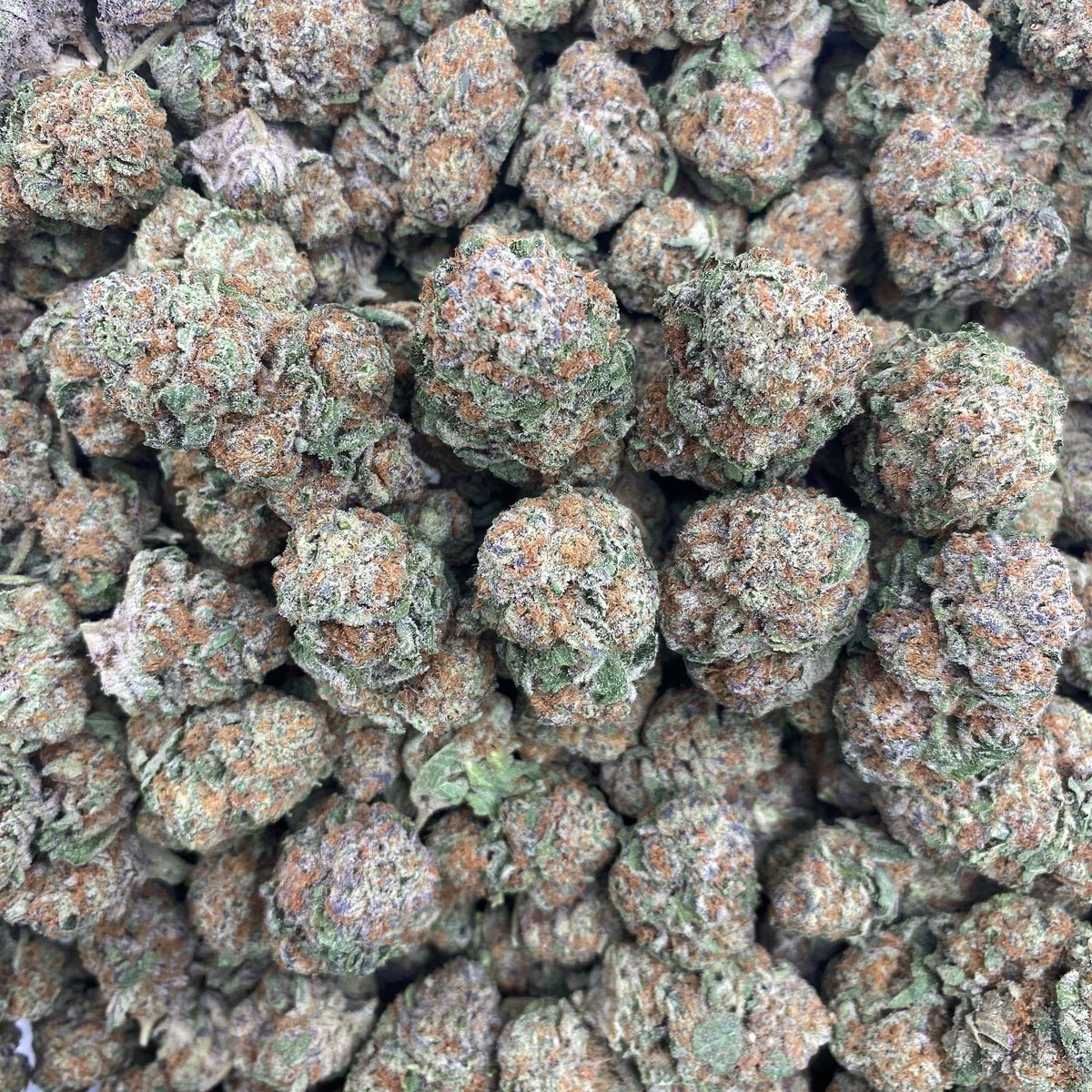 GOODFELLASMOB's tweet photo. PINK ZOURBELTZ - INDOOR 🧞‍♀️

$575 INTOWN https://t.co/YZNucMWGzF