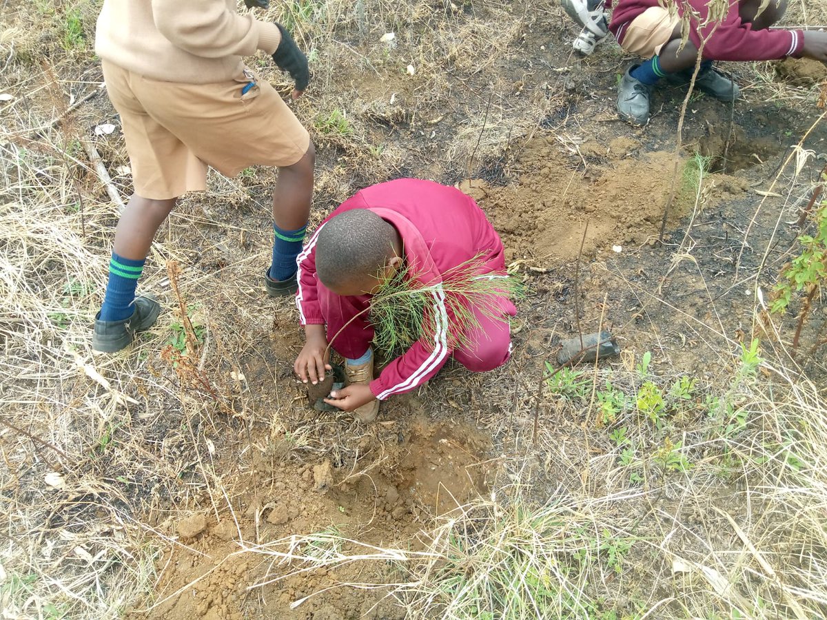 Pollinationproj's tweet photo. A TPP seed grant turned 2,000 Kenyan students into wetland defenders. 20 schools, 20 bird clubs, and a $3,000 follow-on grant later. Full story below.  👇https://t.co/7W1eIyTZbe https://t.co/uYzqb4jqBv