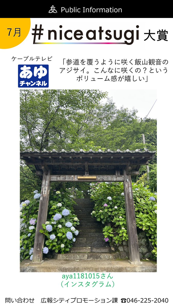 AtsugiCity's tweet photo. 7月のniceatsugi大賞です！おめでとうございます！✨ https://t.co/XpwjKA95DP