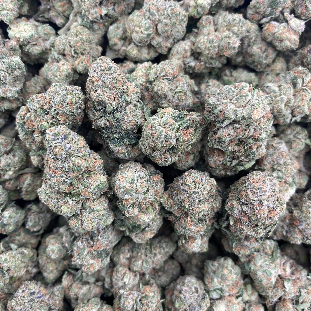 GOODFELLASMOB's tweet photo. PLUM MOCHI 🍡

$475 INTOWN https://t.co/Agu21vY993