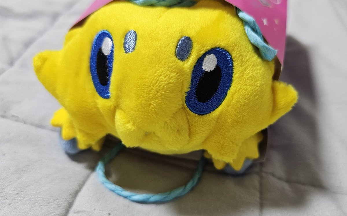 OB_splat's tweet photo. 으흑ㅠ
진짜 귀여워 쪼꾸미 거미야.. https://t.co/iHQq9h7Y5j