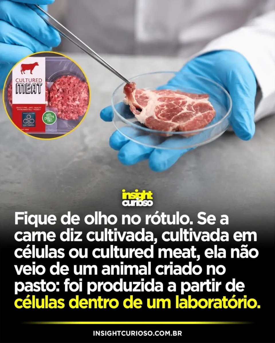 vivahoje99's tweet photo. Esses nomes não são marketing à toa: seguem regras de rotulagem feitas para separar a carne convencional da cultivada, produzida sem abater o animal. O processo começa com uma amostra de células de um bicho. Em vez de criar o animal inteiro, os cientistas alimentam essas células com nutrientes em grandes tanques, os biorreatores, até formarem tecido muscular. Não é ficção científica: em junho de 2023, os Estados Unidos liberaram o primeiro frango cultivado, depois de Singapura