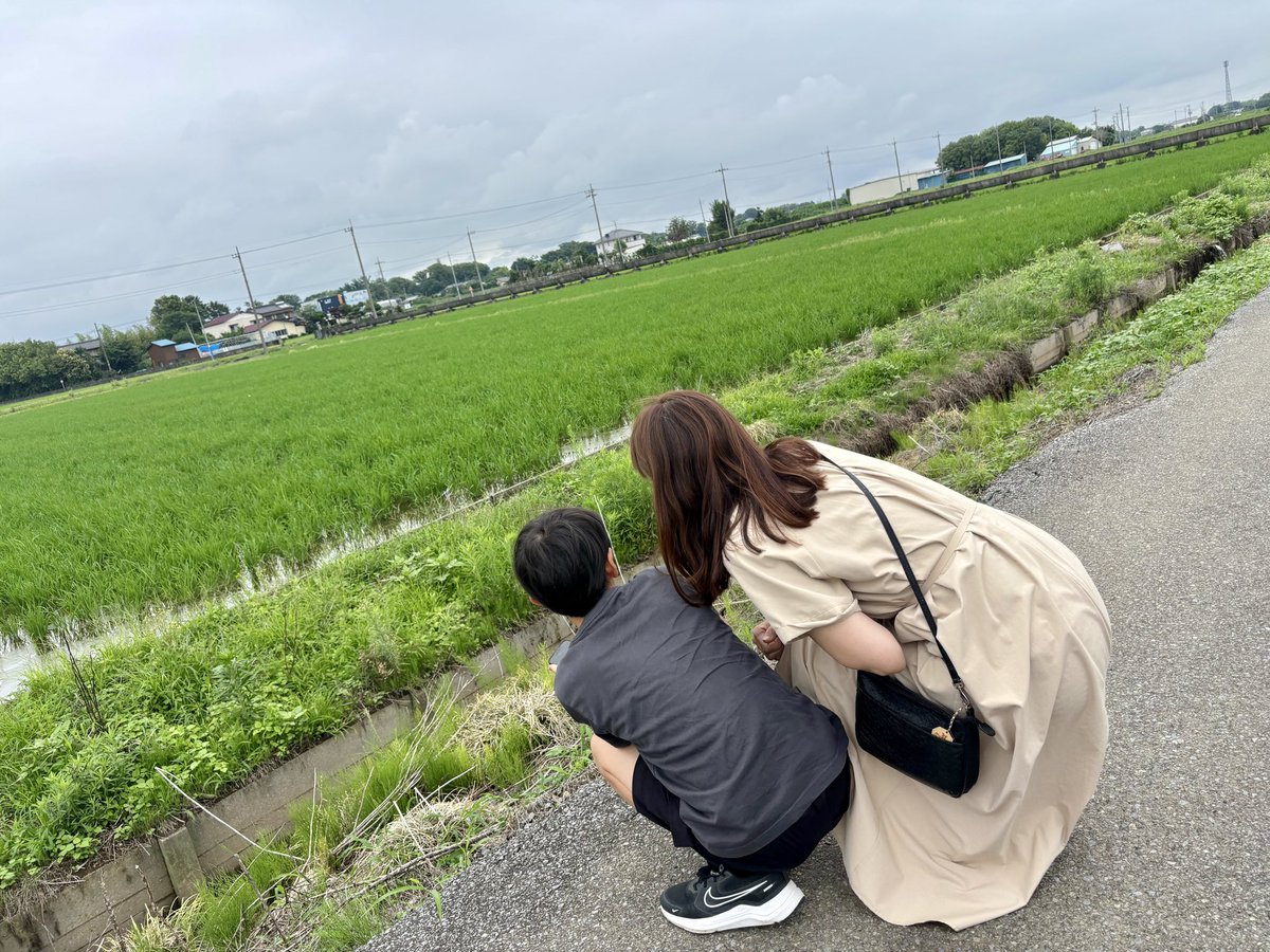 norinori_norip_'s tweet photo. 2026年6月27日（土）

「美味しいごはん ～挑～」
埼玉上映会。

この日は、台風と梅雨前線の影響で、関東地方は広い範囲で雨でした。

茨城、栃木、群馬、埼玉、東京、千葉、神奈川。

各地で雨が降り、大雨への警戒も呼びかけられていた一日。

もちろん、羽生も朝は雨でした。

それでもスタッフは早朝から集まり、準備を始めていました。

雨の中での設営を覚悟していた私たちでしたが、準備を進めるうちに雨は止み、時折、雲の切れ間から青空が顔をのぞかせました。

その後も、上映会が終わるまで雨に降られることはなく、映画のあとには、みんなで田んぼへ。

あの日、私たちは映画を上映しただけではありません。

埼玉の美しい田園風景を守りたい。

この景色を、未来の子どもたちへつないでいきたい。

そんな同じ願いを持つ人たちが集まり、心を重ねた一日でした。

偶然だったのかもしれません。

でも、人が同じ願いを抱き、心を合わせ、行動するとき、目には見えない何かが、そっと力を貸してくれる。

そんなことが、この世界にはあるのかもしれない。

あの日見上げた青空は、今でも心に残っています。

まるで、私たちの志を静かに応援してくれているようでした。

この景色を、未来へ。

埼玉の美しい田園風景を守り、未来へつないでいく。

それが、私たちの 埼玉彩りプロジェクト です。🌾

#美味しいごはん挑 #美味しいごはん上映会 #埼玉彩りプロジェクト #田園風景 #日本の食 #お米のある暮らし #未来へつなぐ