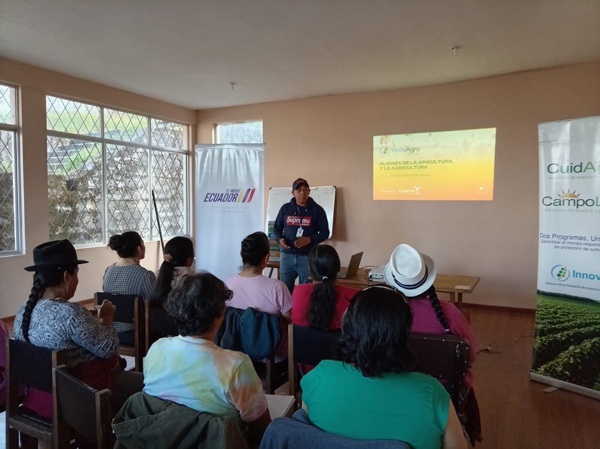 Agricultura_CZ6's tweet photo. #Azuay | En coordinación con la empresa privada desarrollamos el Taller Alianza entre la Apicultura y la Agricultura, fortaleciendo la colaboración entre ambos sectores y promoviendo prácticas sostenibles para la producción agrícola y la conservación de los polinizadores. 🐝 https://t.co/yFaNlDbfGp