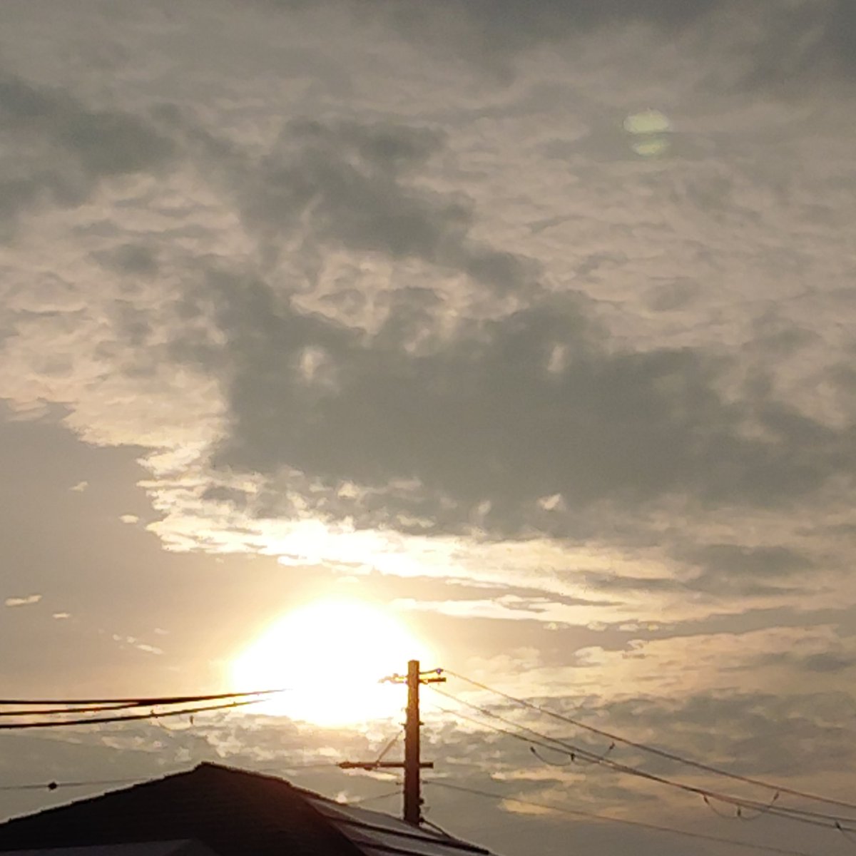 chihiro_geko's tweet photo. 7月1日(水) #断酒 23日目

朝は太陽出てたのに、今日は雨の日でした。

断酒も3週間超えてきて、板についてきたのでは？と自画自賛。

今日もシラフで過ごします！

#Twitter断酒部 
#朝の空 https://t.co/FQEjN6Bihe