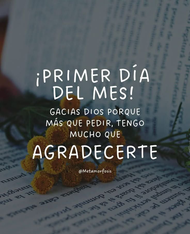 Dr_Wick_Ec's tweet photo. BIENVENIDO  JULIO
🎉🎉🎉🎉🥳🥳🥳
Gracias por todo DIOS.

Iniciamos BIEN ✅✅✅ https://t.co/YDBNA4Oxk3