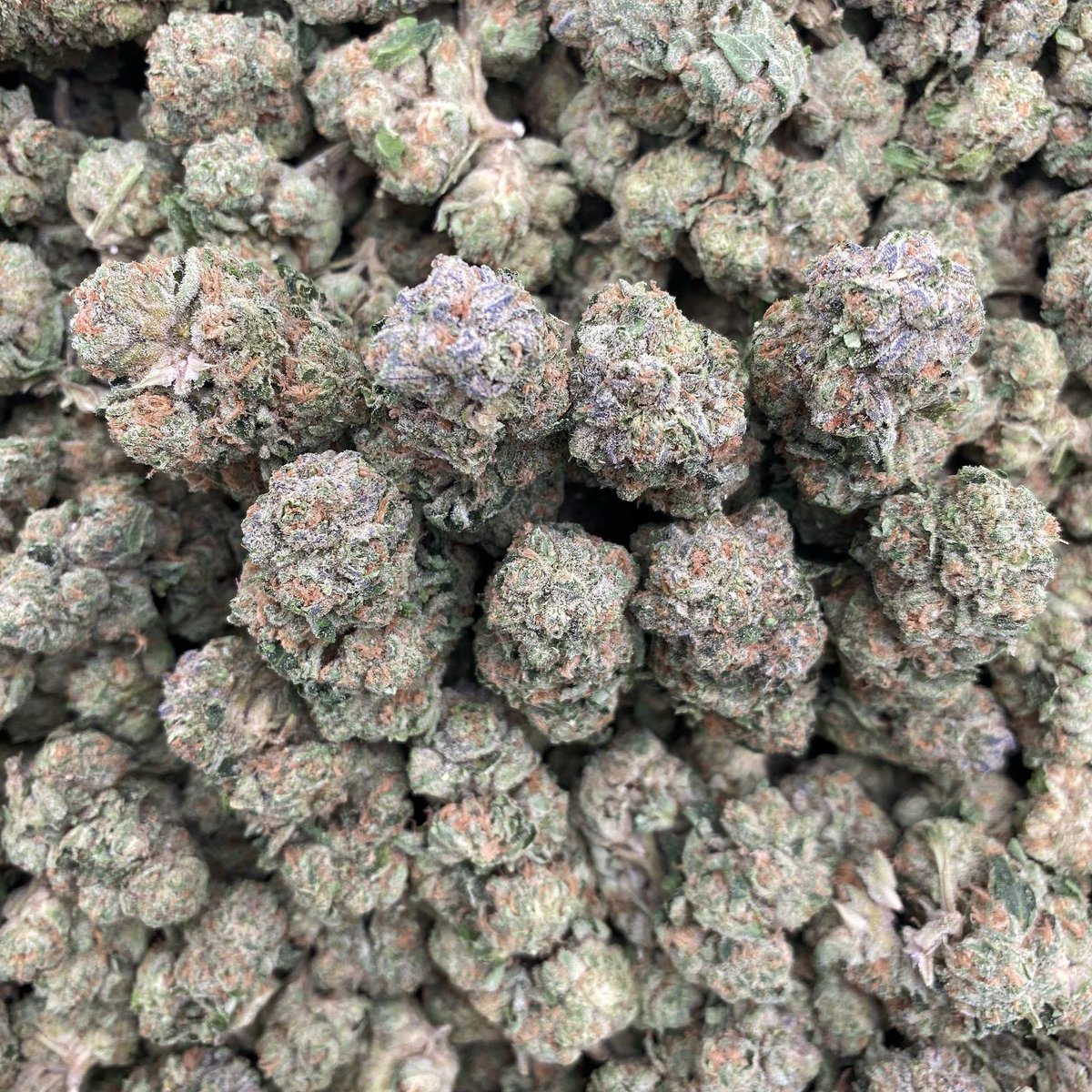 GOODFELLASMOB's tweet photo. GOBLIN CANDY 😈🍬

$525 INTOWN https://t.co/A0yWtebFjO