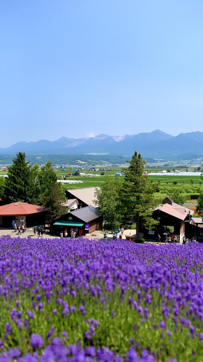 Wdf_JP's tweet photo. https://t.co/6GmQZgO4q1