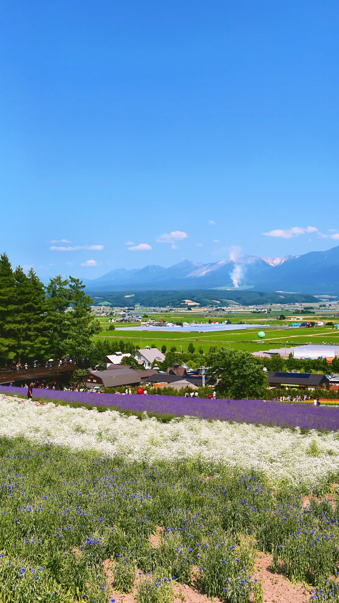 Wdf_JP's tweet photo. https://t.co/6GmQZgO4q1