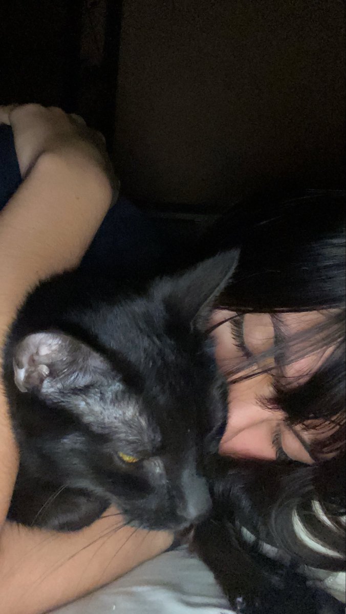yanagiakanee's tweet photo. y aunque ya no estés aquí, aunque no pude acompañarte hasta el último momento, aunque no logré cumplir mi promesa de algún día traerte acá conmigo y aunque no pude cuidarte por cuenta propia siempre fuiste y serás mi mejor compañera mi yukita🖤🕊️ https://t.co/NmwgeLE45H