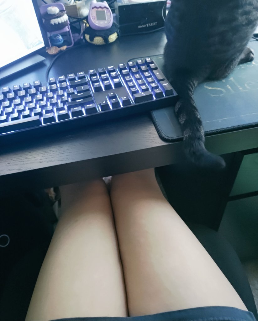 SpookyMeylani's tweet photo. She's streaming https://t.co/Rzi48ysNkv