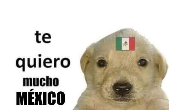 Marce_dAlencon's tweet photo. Siempre México 💗💞 #CopaMundialFifa https://t.co/JqHJTAEJyG