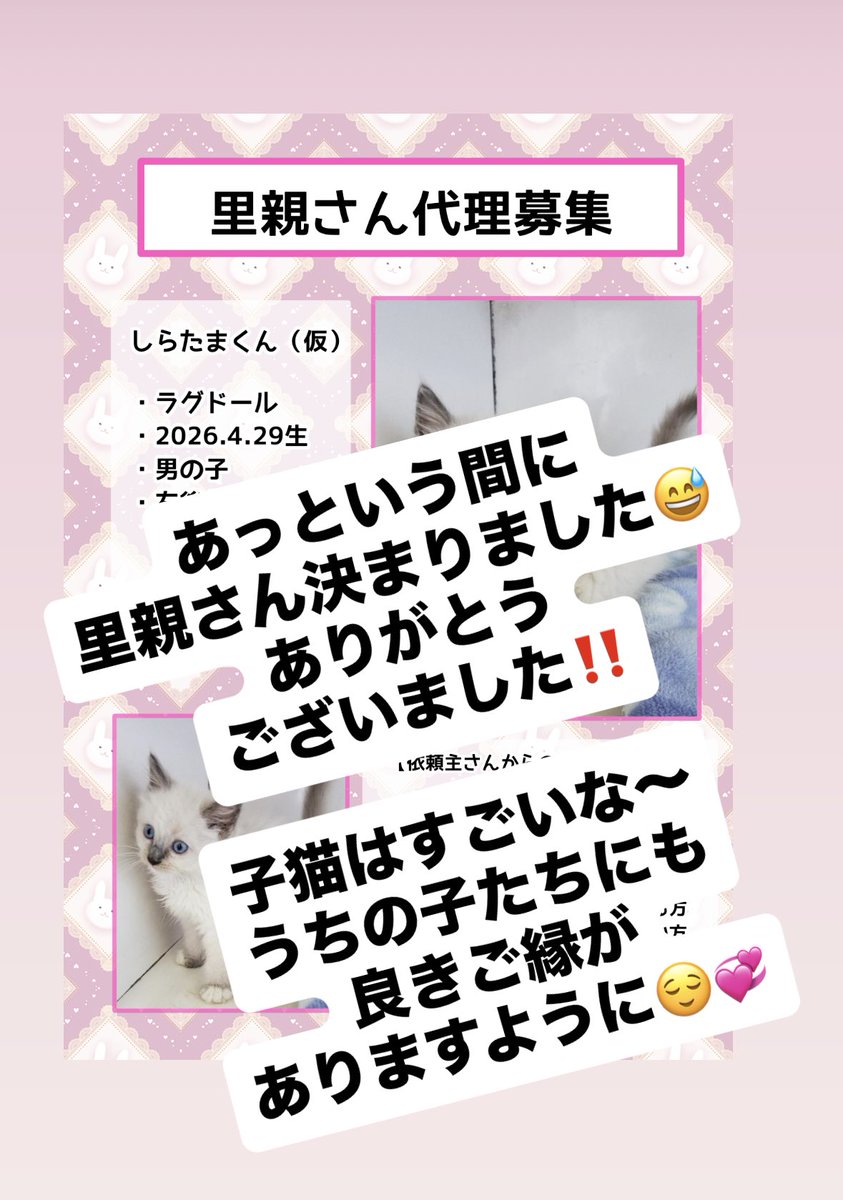 決まりましたたくさんのお問い合わせありがとうございました。 決まり 