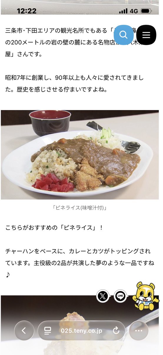 dr_eccs's tweet photo. ピネガキライスなるもの https://t.co/Hs4nvjGnjD