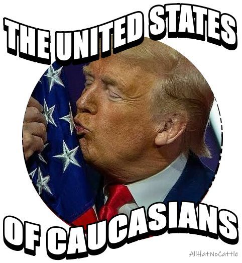 OldManLefty1's tweet photo. Trump has a racist dream.. https://t.co/GPWvpKRkNk