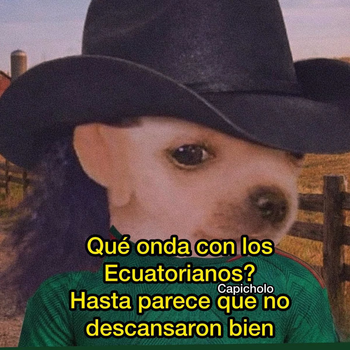 Mayeriz's tweet photo. Ah que la chingada... https://t.co/eY6vzUOTW1