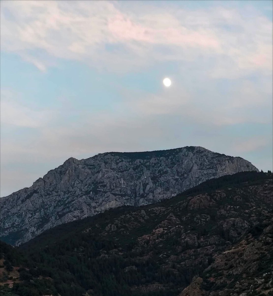 huseyin_beyaz's tweet photo. 📍Spil Dağı Milli Park 
📍Yaban atları
📍Ağlayan Kaya 
📍Manisa
#Çarşamba 
#BereketliSabahlar 🤲 https://t.co/ClQ7M4J7H6