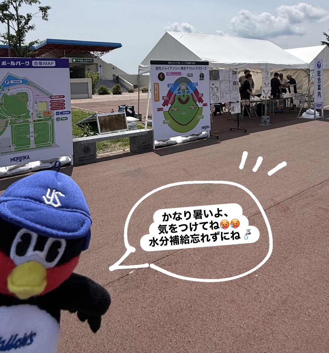 MoriokaBp's tweet photo. 当日券は13時から総合案内で販売開始です🌟
⚠️内野席のみ
⚠️駐車券の販売はございません
　 公共交通機関でのご来場へご協力ください🚌🚃
　 近隣への違法駐車はしないようお願いいたします🙇🏻‍♀️ https://t.co/hTpN4zZMVw