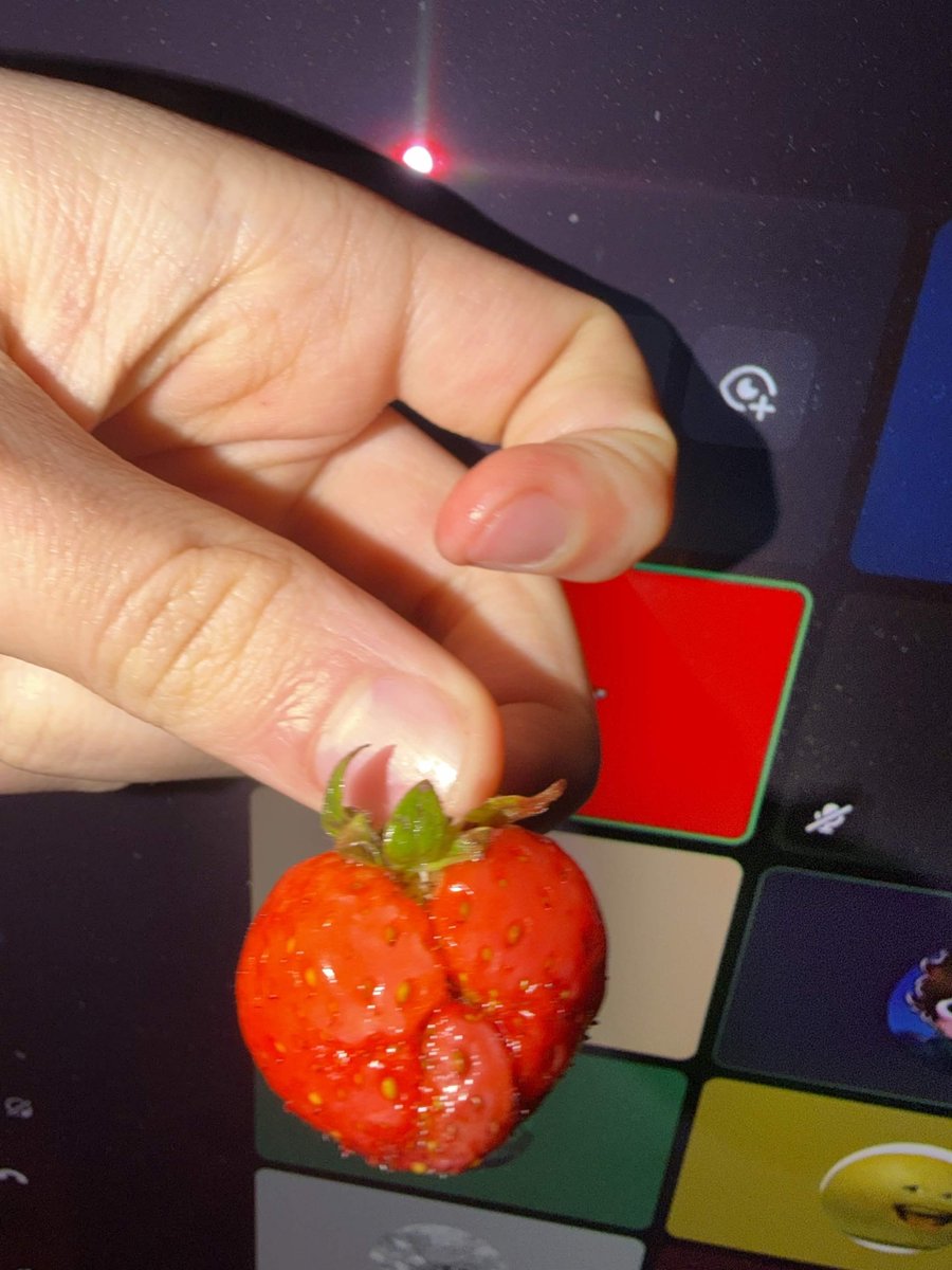 alienmasterrl's tweet photo. https://t.co/HgaPzR8u0x