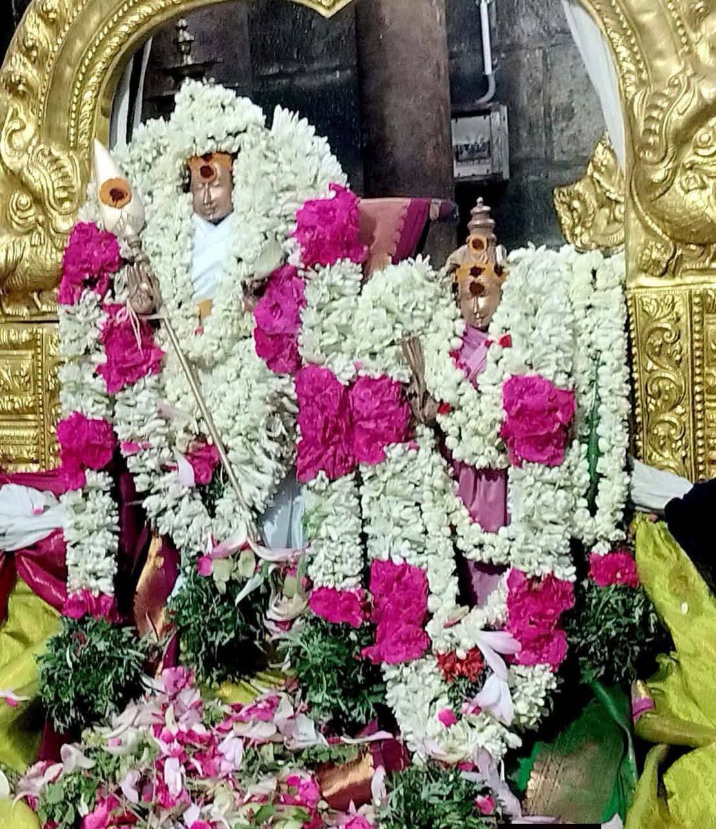 DrPChockalingam's tweet photo. இன்றைய திவ்ய தரிசனம் (01/07/26)

அருள்மிகு சுப்பிரமணியசுவாமி, 

ஆனி ஊஞ்சல் திர���விழா முப்பழபூஜை தரிசனம்,

அருள்மிகு சுப்பிரமணிய சுவாமி திருக்கோயில்,
திருப்பரங்குன்றம்,

அனைவரும் வாழ்வாங்கு வாழ வாழ்த்துக்கள்

முனைவர் ஆண்டாள் P சொக்கலிங்கம்

#DrAndalPChockalingam #SABP # https://t.co/Zl6XuqL4XD