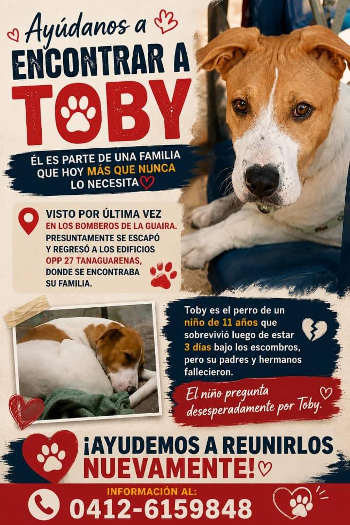 yaracalcagno's tweet photo. Atención La Guaira. Se busca. https://t.co/m2iTXj5QFA